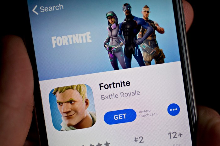 Fortnite appstore