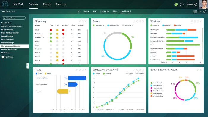 Project portfolio management software